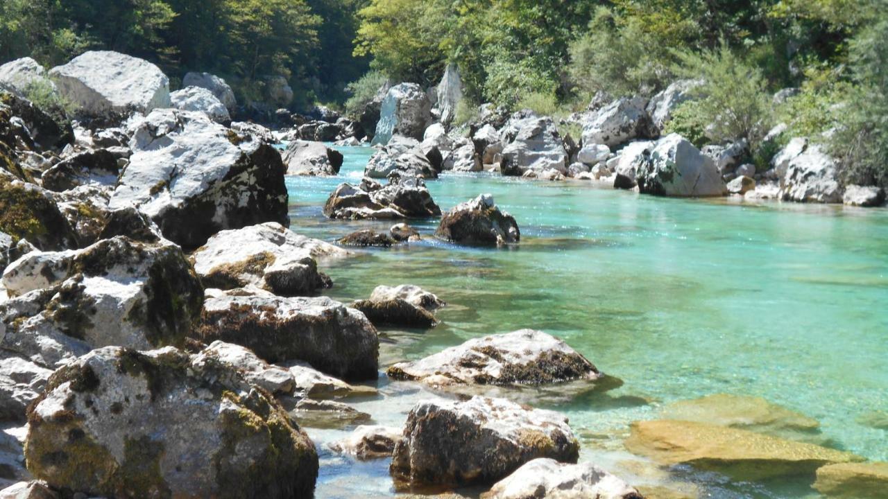 コバリードTrnovo Ob Soci Kuhalaアパートメント エクステリア 写真